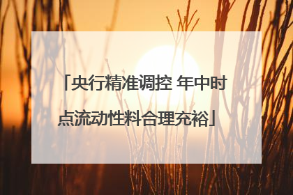 央行精准调控 年中时点流动性料合理充裕