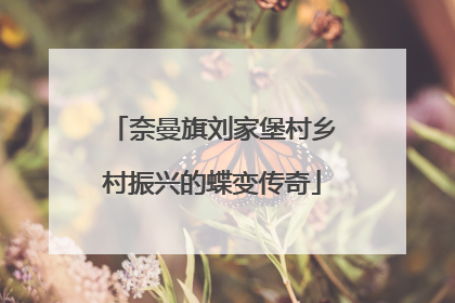 奈曼旗刘家堡村乡村振兴的蝶变传奇
