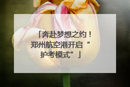 奔赴梦想之约！郑州航空港开启“护考模式”