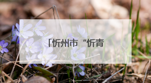 忻州市“忻青苗名师工作室”揭牌成立