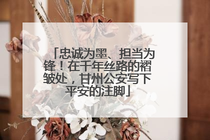 忠诚为墨、担当为锋！在千年丝路的褶皱处，甘州公安写下平安的注脚