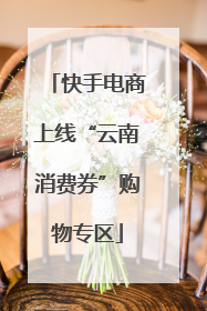 快手电商上线“云南消费券”购物专区