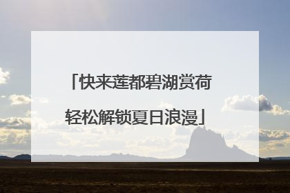 快来莲都碧湖赏荷 轻松解锁夏日浪漫