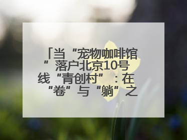 当“宠物咖啡馆”落户北京10号线“青创村”：在“卷”与“躺”之间，他们找到了第三种生活公式