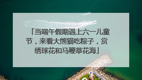 当端午假期遇上六一儿童节，来看大熊猫吃粽子，赏绣球花和马鞭草花海