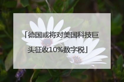 德国或将对美国科技巨头征收10%数字税