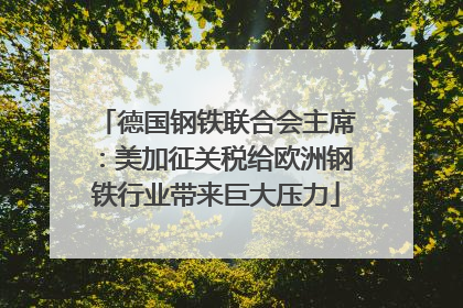德国钢铁联合会主席：美加征关税给欧洲钢铁行业带来巨大压力