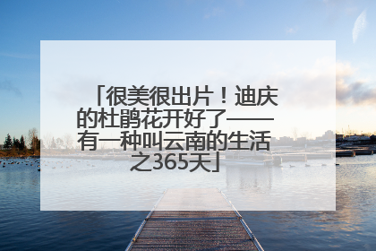 很美很出片！迪庆的杜鹃花开好了——有一种叫云南的生活之365天