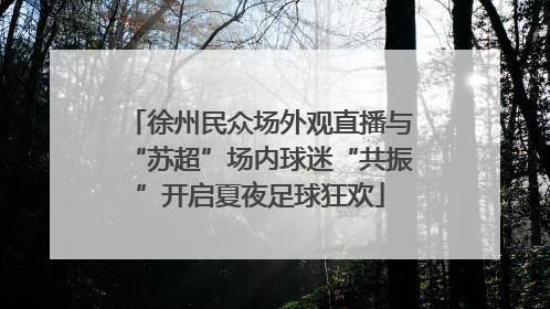 徐州民众场外观直播与“苏超”场内球迷“共振”开启夏夜足球狂欢