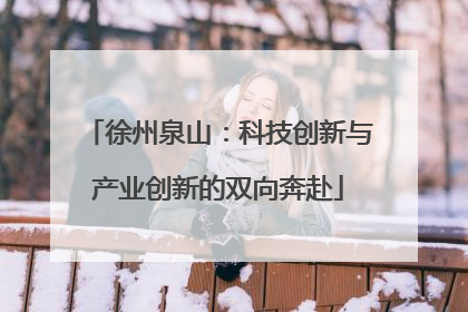 徐州泉山：科技创新与产业创新的双向奔赴