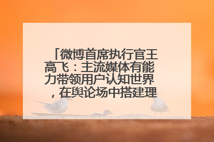 微博首席执行官王高飞：主流媒体有能力带领用户认知世界，在舆论场中搭建理性的讨论空间