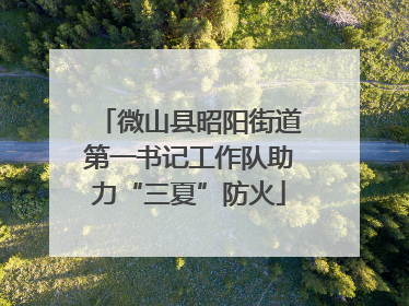 微山县昭阳街道第一书记工作队助力“三夏”防火