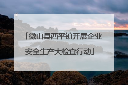 微山县西平镇开展企业安全生产大检查行动