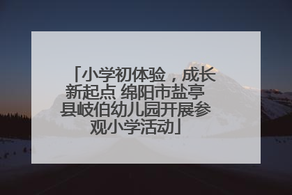 小学初体验，成长新起点 绵阳市盐亭县岐伯幼儿园开展参观小学活动