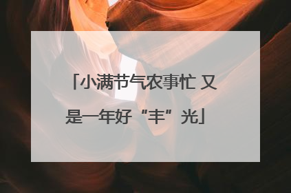 小满节气农事忙 又是一年好“丰”光