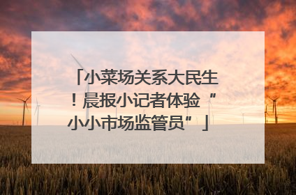 小菜场关系大民生！晨报小记者体验“小小市场监管员”