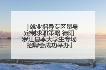 就业指导专区量身定制求职策略 德阳罗江夏季大学生专场招聘会成功举办