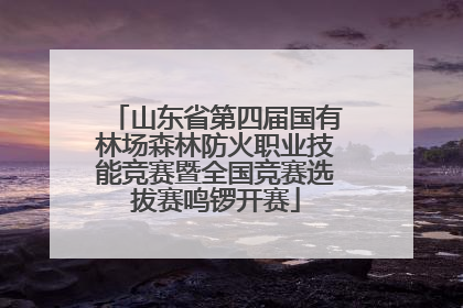 山东省第四届国有林场森林防火职业技能竞赛暨全国竞赛选拔赛鸣锣开赛