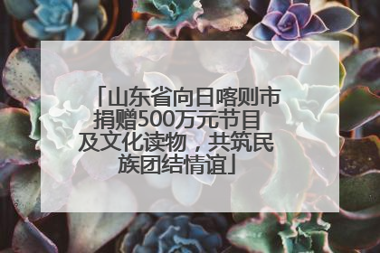 山东省向日喀则市捐赠500万元节目及文化读物，共筑民族团结情谊