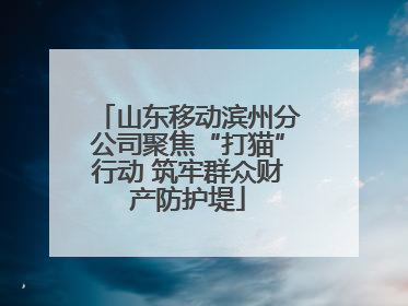 山东移动滨州分公司聚焦“打猫”行动 筑牢群众财产防护堤