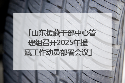 山东援藏干部中心管理组召开2025年援藏工作动员部署会议