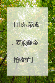 山东荣成：麦浪翻金抢收忙