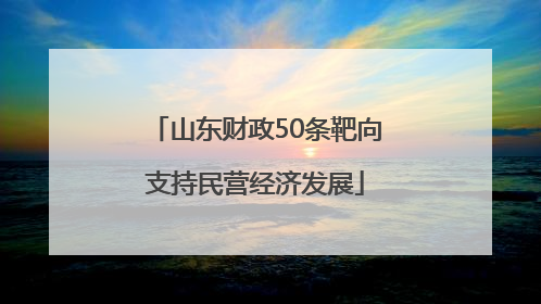 山东财政50条靶向支持民营经济发展