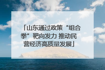 山东通过政策“组合拳”靶向发力 推动民营经济高质量发展