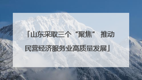 山东采取三个“聚焦” 推动民营经济服务业高质量发展