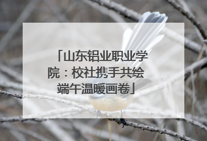 山东铝业职业学院：校社携手共绘端午温暖画卷