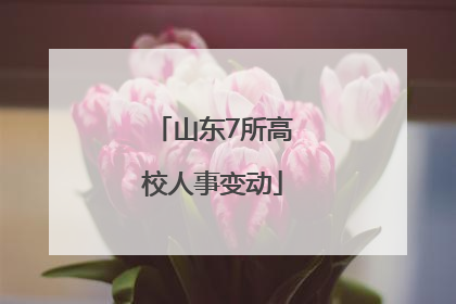 山东7所高校人事变动
