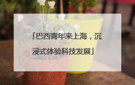 巴西青年来上海，沉浸式体验科技发展