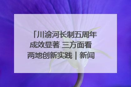 川渝河长制五周年成效显著 三方面看两地创新实践｜新闻发布最前线