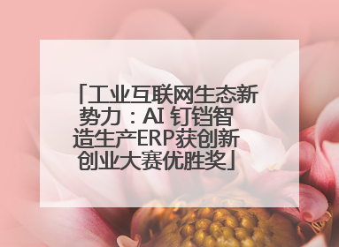 工业互联网生态新势力：AI 钉铛智造生产ERP获创新创业大赛优胜奖