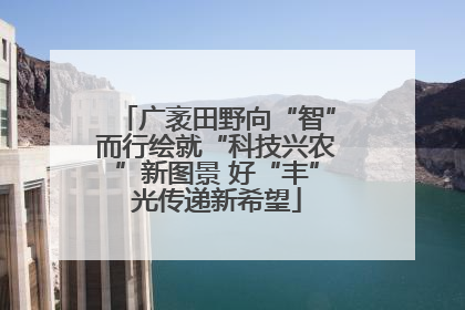 广袤田野向“智”而行绘就“科技兴农”新图景 好“丰”光传递新希望