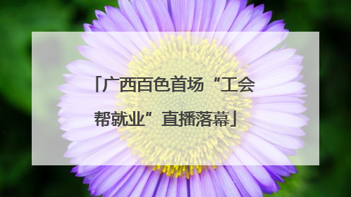 广西百色首场“工会帮就业”直播落幕