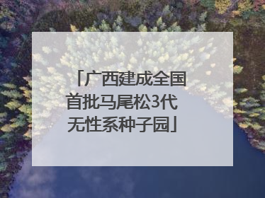 广西建成全国首批马尾松3代无性系种子园