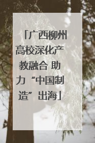 广西柳州高校深化产教融合 助力“中国制造”出海