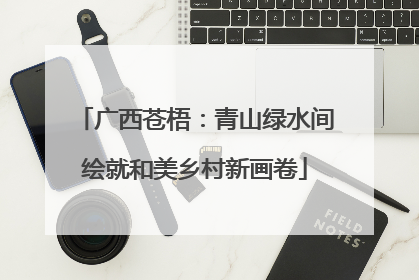 广西苍梧：青山绿水间绘就和美乡村新画卷