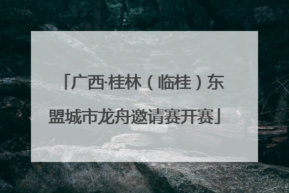 广西·桂林（临桂）东盟城市龙舟邀请赛开赛