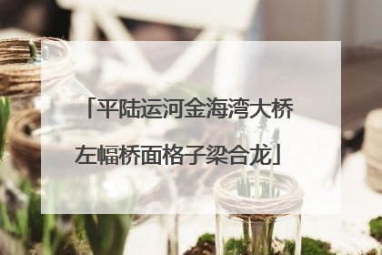 平陆运河金海湾大桥左幅桥面格子梁合龙