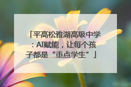 平高松雅湖高级中学：AI赋能，让每个孩子都是“重点学生”