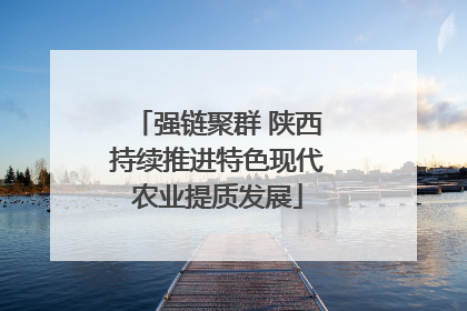 强链聚群 陕西持续推进特色现代农业提质发展