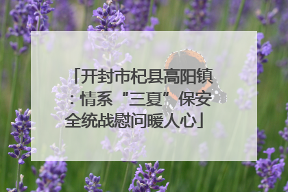 开封市杞县高阳镇：情系“三夏”保安全统战慰问暖人心