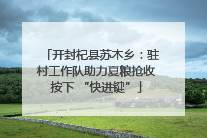开封杞县苏木乡：驻村工作队助力夏粮抢收按下 “快进键”