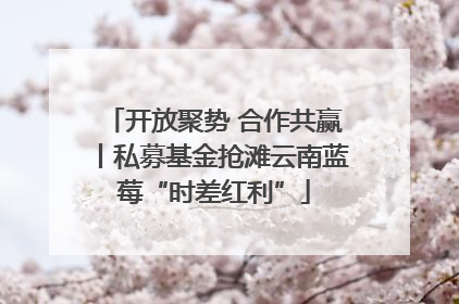 开放聚势 合作共赢丨私募基金抢滩云南蓝莓“时差红利”