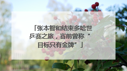 张本智和结束多哈世乒赛之旅，赛前曾称“目标只有金牌”