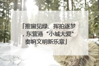 推窗见绿、挥拍逐梦，东营港“小城大爱”奏响文明新乐章