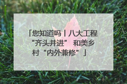 您知道吗丨八大工程“齐头并进” 和美乡村“内外兼修”