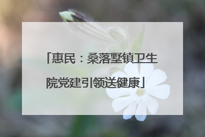 惠民：桑落墅镇卫生院党建引领送健康